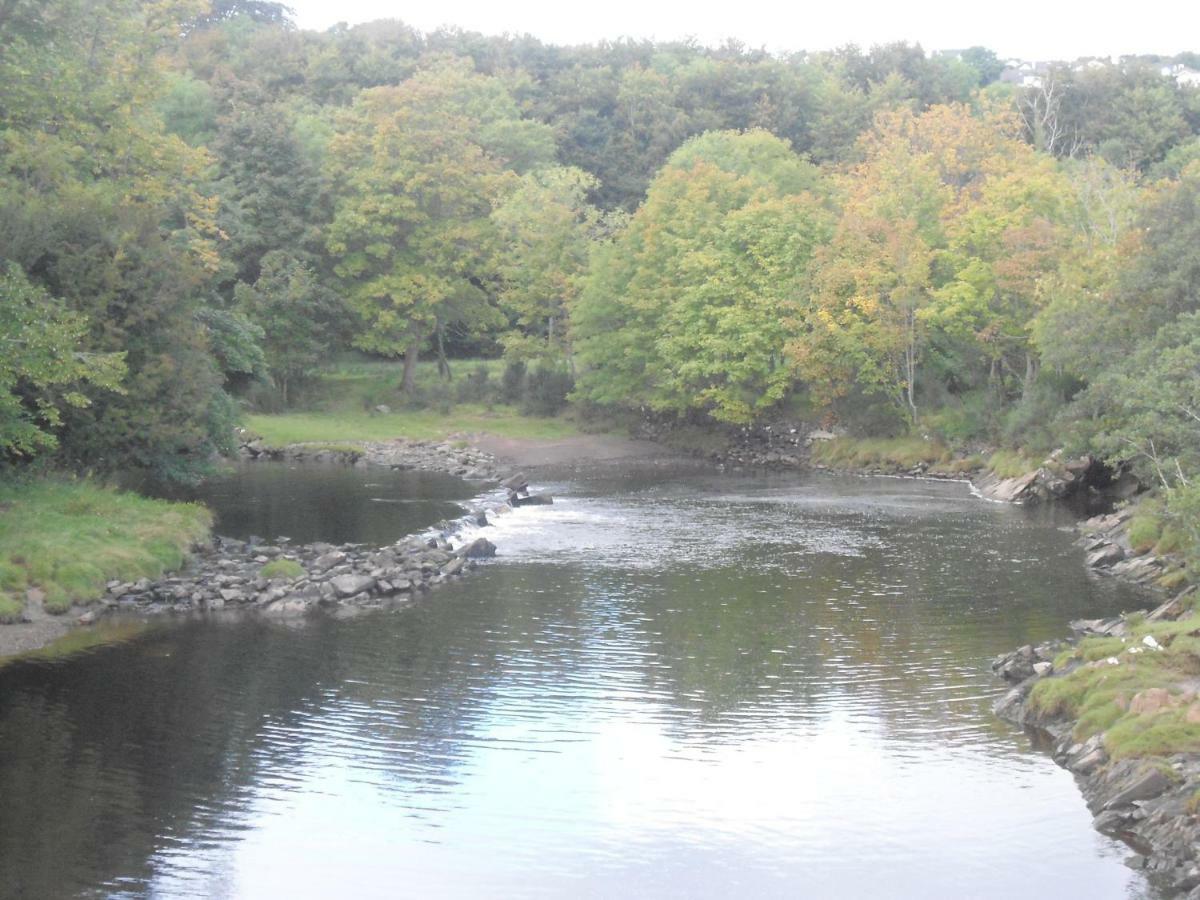 Carolina Buncrana